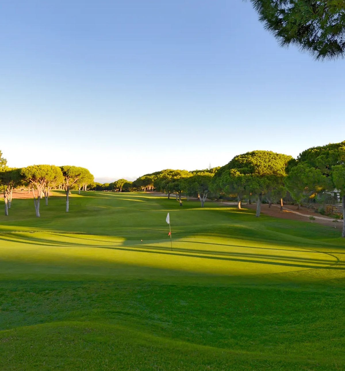 dom pedro pinhal golf course in vilamoura