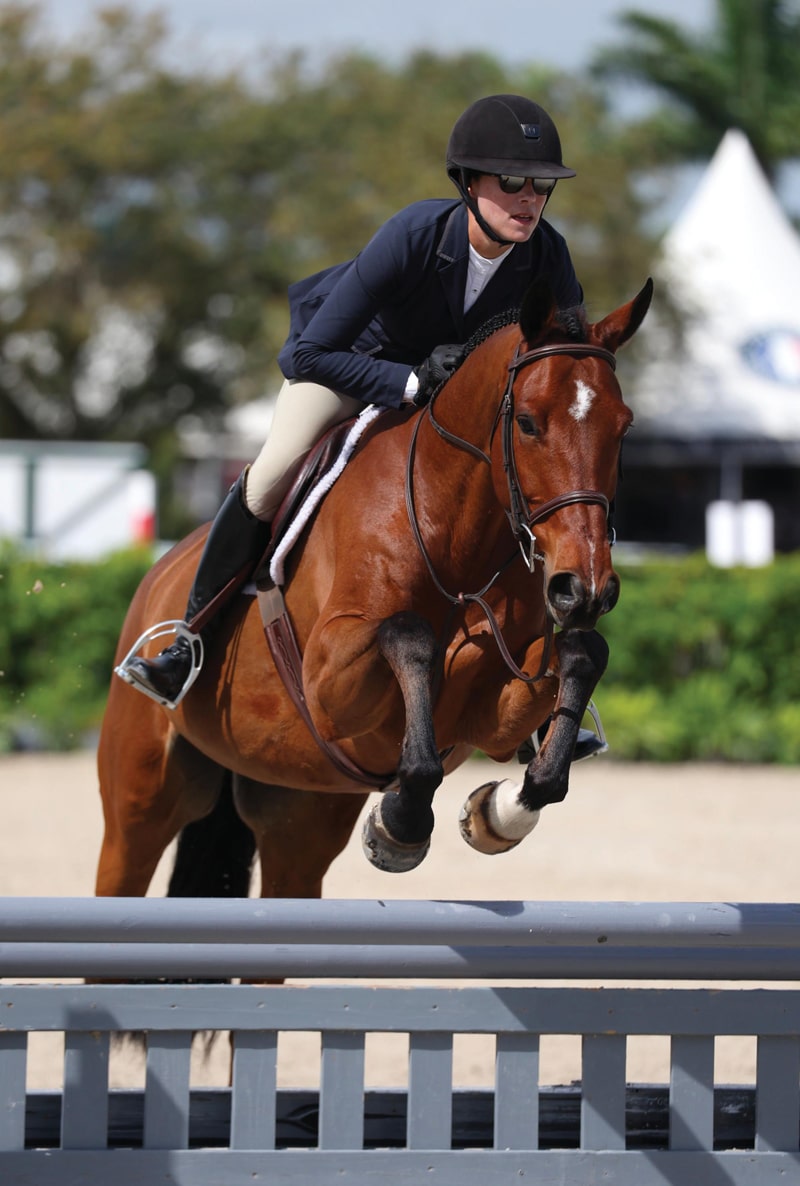 vilamoura equestrian centre competition